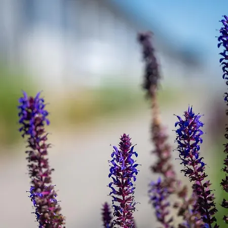 Casa de Férias Bursztynowa Przystan - Nad Morzem