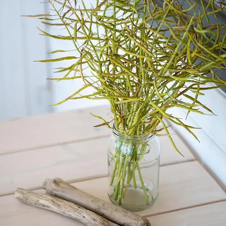 Casa de Férias Bursztynowa Przystan - Nad Morzem