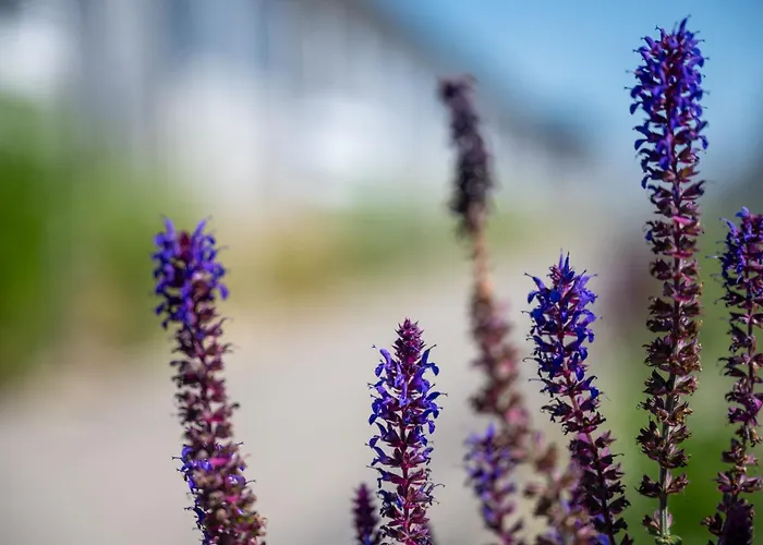 別荘 Bursztynowa Przystan - Nad Morzem